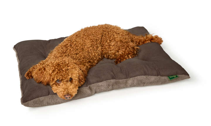 HUNTER Hundebett Rockford